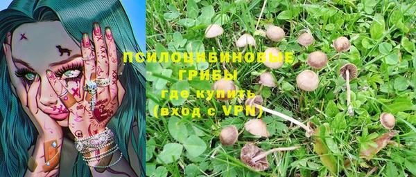 гидра Майский