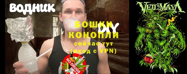 гидра Майский