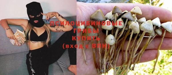 гидра Майский