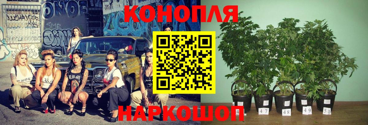 Шишки марихуана MAZAR  Бошки Шишки THC 21%  Марихуана семена  Вход с VPN  Шишки марихуана White Widow  Мелеуз 